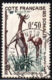 [Fauna, 类型 CR]