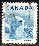 [National Wildlife Week, type GM]