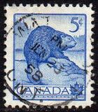 [National Wildlife Week, type GQ]
