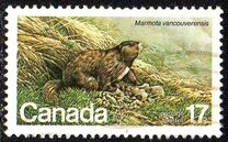 [Endangered Wildlife, type AAD]