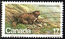 [Endangered Wildlife, type AAD]