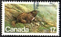 [Endangered Wildlife, type AAD]