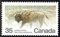 [Endangered Wildlife, type AAE]