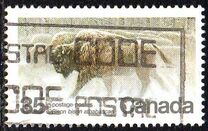[Endangered Wildlife, type AAE]