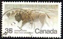 [Endangered Wildlife, type AAE]