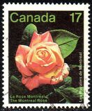 [Montreal Flower Show, Вид AAO]