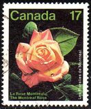 [Montreal Flower Show, Вид AAO]