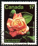[Montreal Flower Show, Вид AAO]