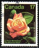 [Montreal Flower Show, Вид AAO]