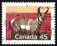 [Canadian Mammals, tip AOI]
