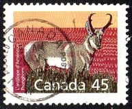 [Canadian Mammals, tip AOI]