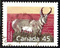 [Canadian Mammals, tip AOI]