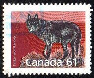 [Canadian Mammals, tip AOJ]