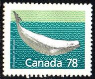 [Canadian Mammals, tip AOK]