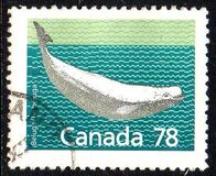 [Canadian Mammals, tip AOK]