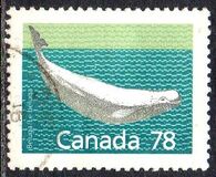 [Canadian Mammals, tip AOK]