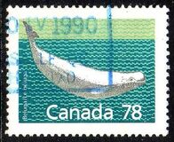 [Canadian Mammals, tip AOK]