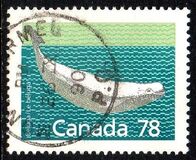 [Canadian Mammals, tip AOK]