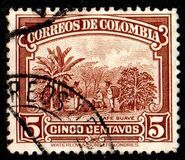 [Mining and Agriculture - "WATERLOW & SONS LTD. LONDRES" Imprint, प्रकार IU]