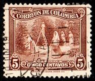 [Coffee Harvest, type JK]