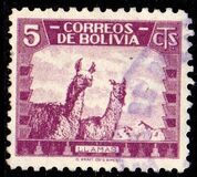[Fauna boliviana., tipo CV2]