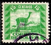[Fauna boliviana., tipo CW1]