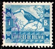 [Animals, type DA1]