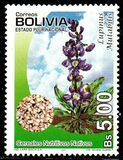 [Agriculture - Native Cereals, type BOF]
