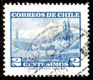 [Local Motives, Tip NP]