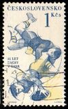 [Sports Events of 1961, 類型 ZS]