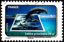 [Stamp Festival - Water Protection, tip EUV]
