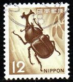 [Definitive Issue, type AXH]
