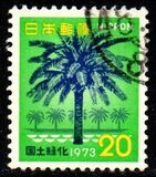 [National Afforestation Campaign, Tipo AZP]