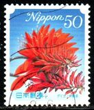 [Flowers, type HTI]