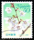 [Flowers, type HTJ]
