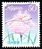 [Flowers, type HWB]