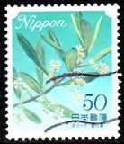 [Flowers, type HWC]