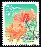 [Flowers, type HWD]