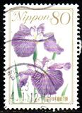 [Flowers, tip HWG]