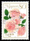 [Flowers, type IIB]