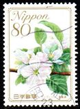 [Flowers, type IIC]