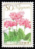 [Flowers, type IID]