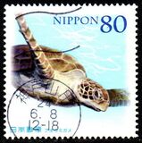 [Flora & Fauna - Rare Wildlife in Japan, Tipi IPN]