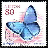 [Flora & Fauna - Rare Wildlife in Japan, Tipi IPO]