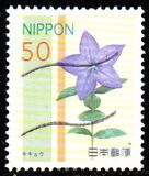 [Flowers, type IPT]