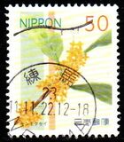 [Flowers, type IPV]