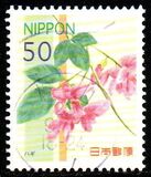 [Flowers, type IPX]
