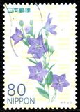 [Flowers, 類型 IPY]