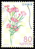 [Flowers, 類型 IPZ]