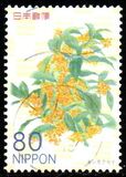 [Flowers, 類型 IQA]